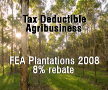 Agribusiness - FEA Plantations 2008