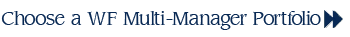 Choose a Multi-Manager Portfolio