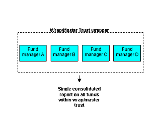 Wrap - Master Trust Wrapper