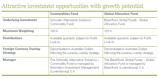 Reliance Investment Fund details